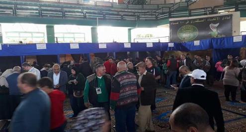 رسميا.. مصيلحي رئيسا للاتحاد السكندري بالتزكية.. وهشام حسن نائبا